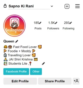 Premium and Stylish Instagram Bio For Girls ( 2024 )