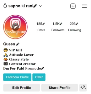 Cool Instagram Bio For Girls
