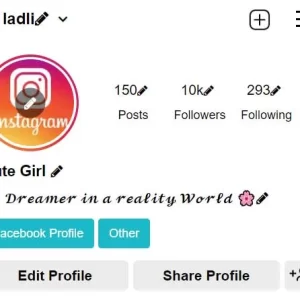 Aesthetic Instagram Bio Styles for Girls 