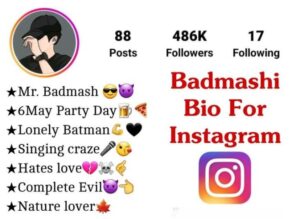 Badmashi Bio For Instagram