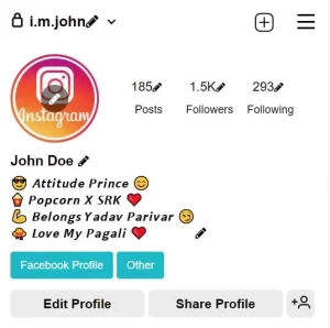 300 Instagram Bio Style for Boys