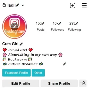 VIP Instagram Bio In Stylish Font For Girls 