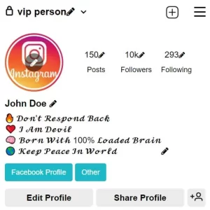 Copy Paste VIP Bio In Stylish Font With Emoji 